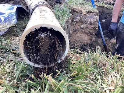 Sewer Line Inspection in Cypress TX root blockage